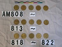 藏品(香港20分硬幣)的圖片